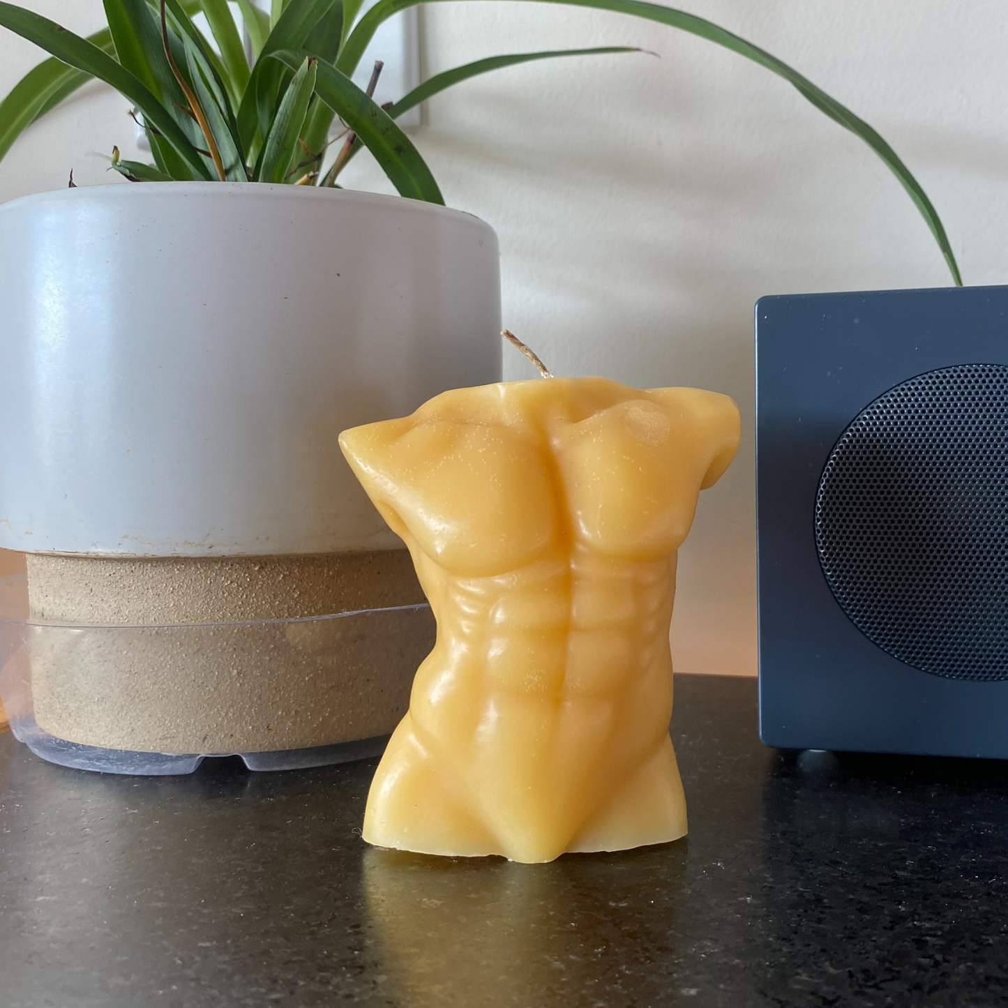 Adonis Candle - Alles